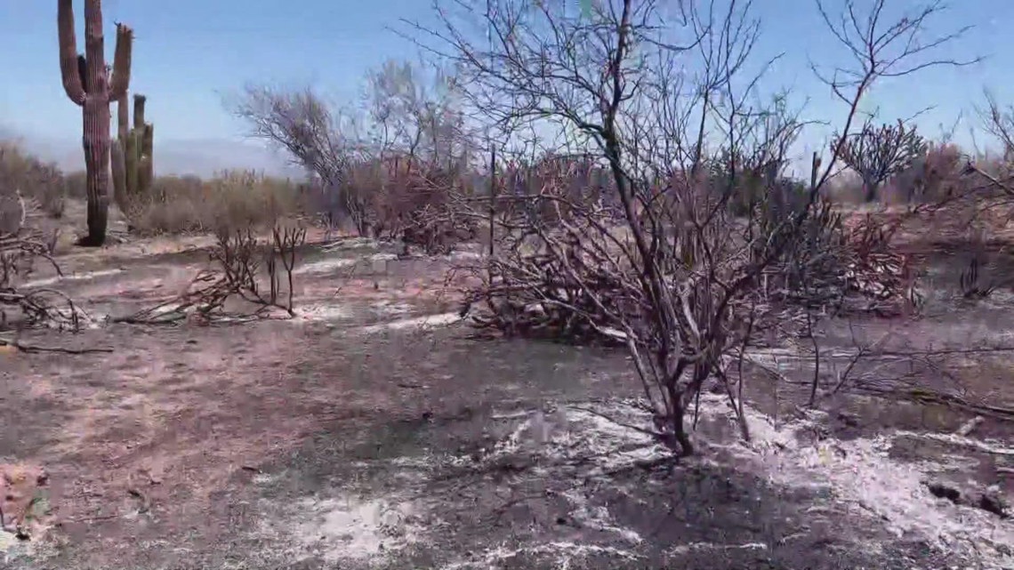 What caused the Diamond Fire? It’s undetermined, officials say [Video]