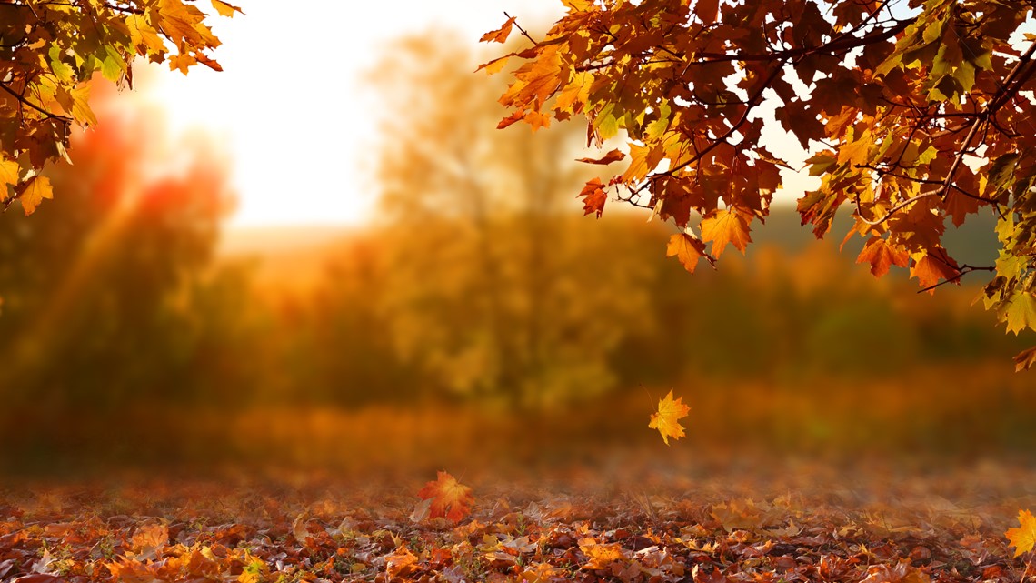 When is fall? | localmemphis.com [Video]