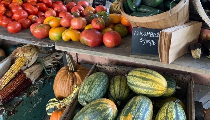 Fall flavors in full force at Panera, Ruby Slipper and Smoothie King [Video]