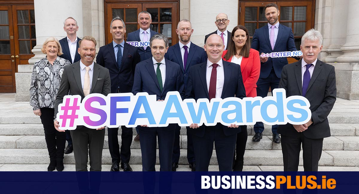 Simon Harris launches the National Small Business Awards 2024 [Video]