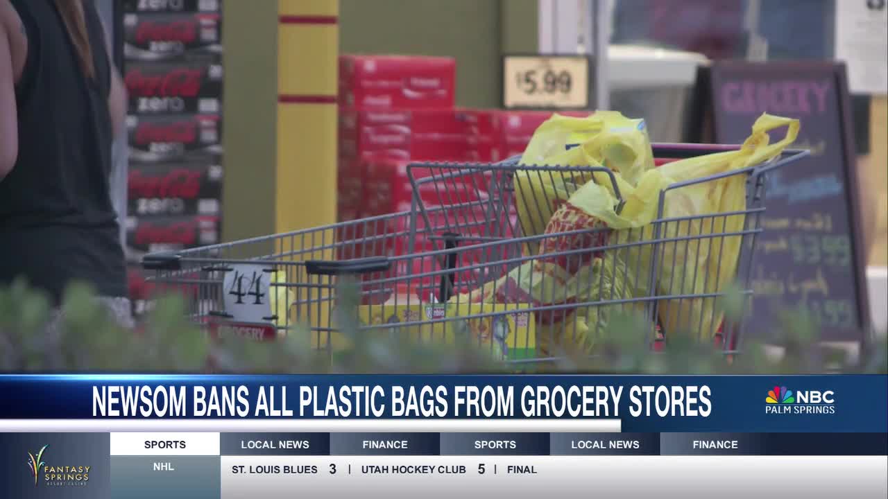 Newsom Signs Plastic Bag Ban Into Law [Video]