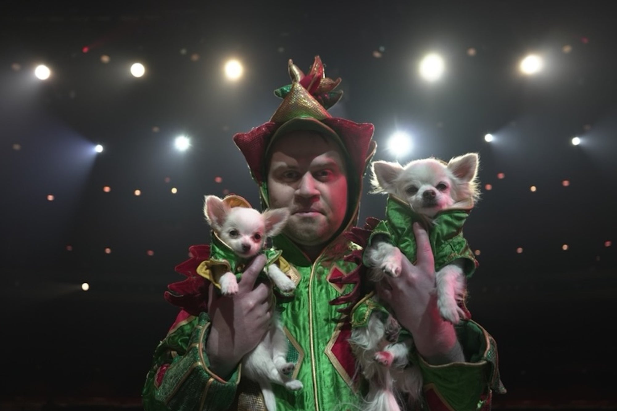 How Piff the Magic Dragon Conjured Success [Video]