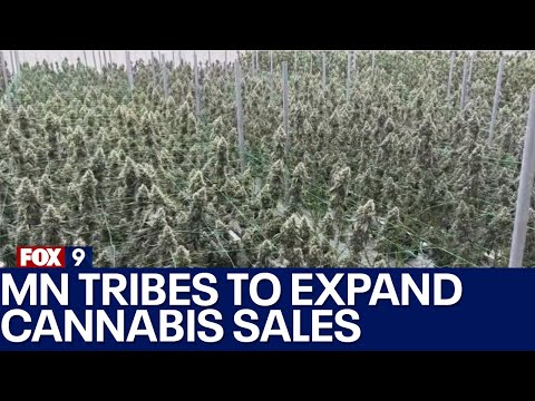 MN tribal nations look to expand marijuana sales off reservations [Video]