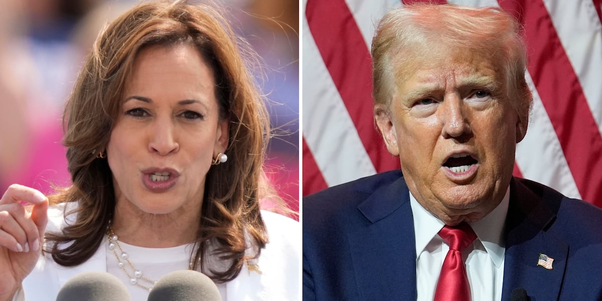 Harris makes capitalist pitch to boost the economy as Trump pushes deeper into populism [Video]