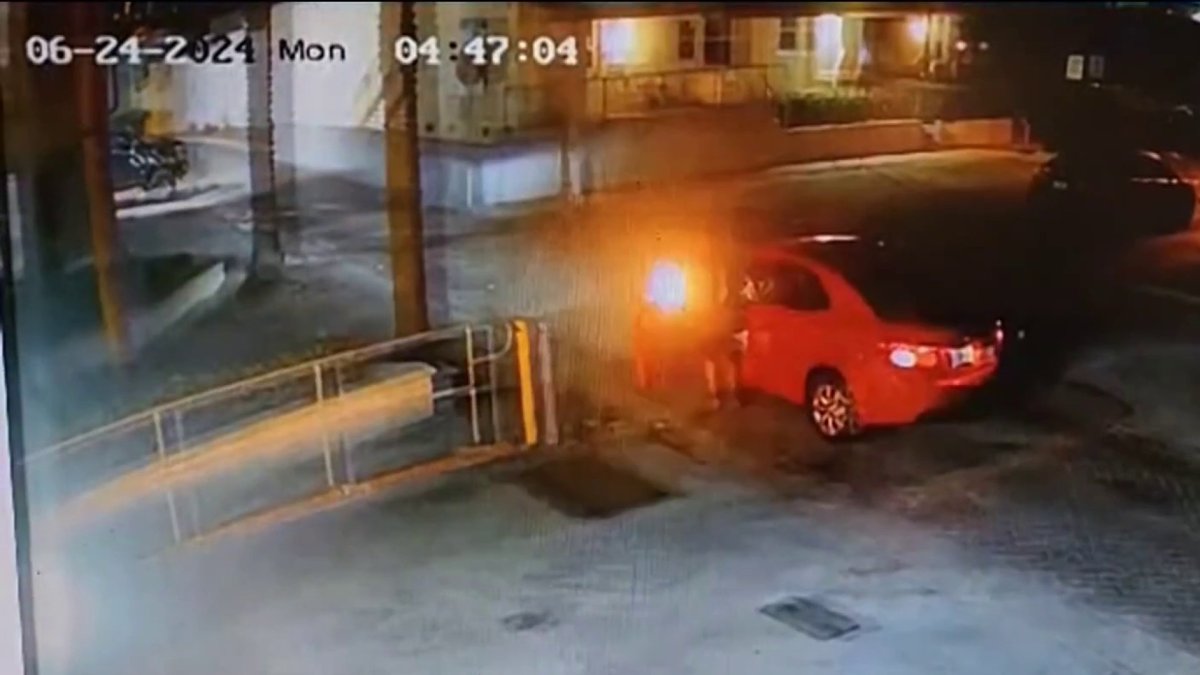 Man arrested for throwing Molotov cocktails at Hollywood restaurant: Police  NBC 6 South Florida [Video]