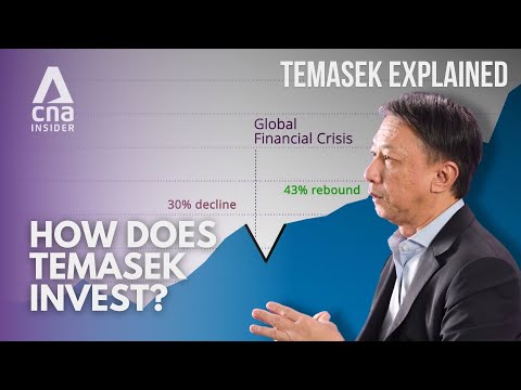 Temasek Explained: How Temasek makes its investment decisions [Part 5/8] [Video]