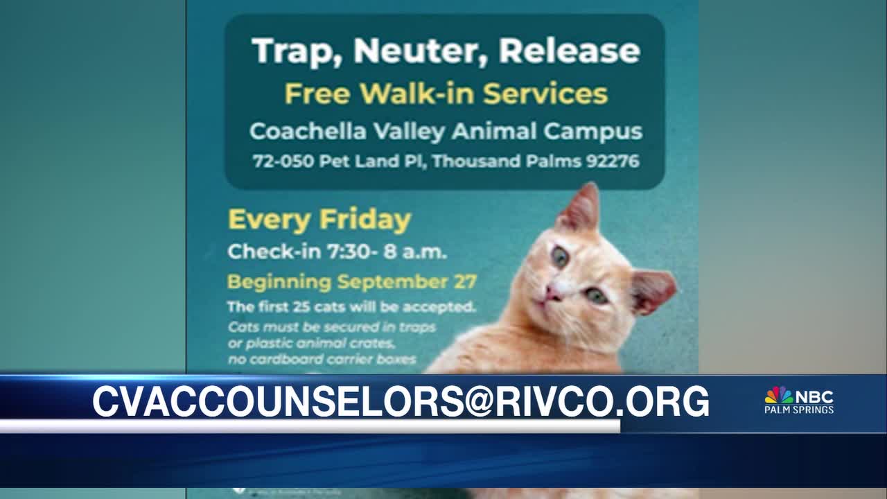 iverside County Launches Free Trap-Neuter-Release Program for Cats in Coachella Valley [Video]