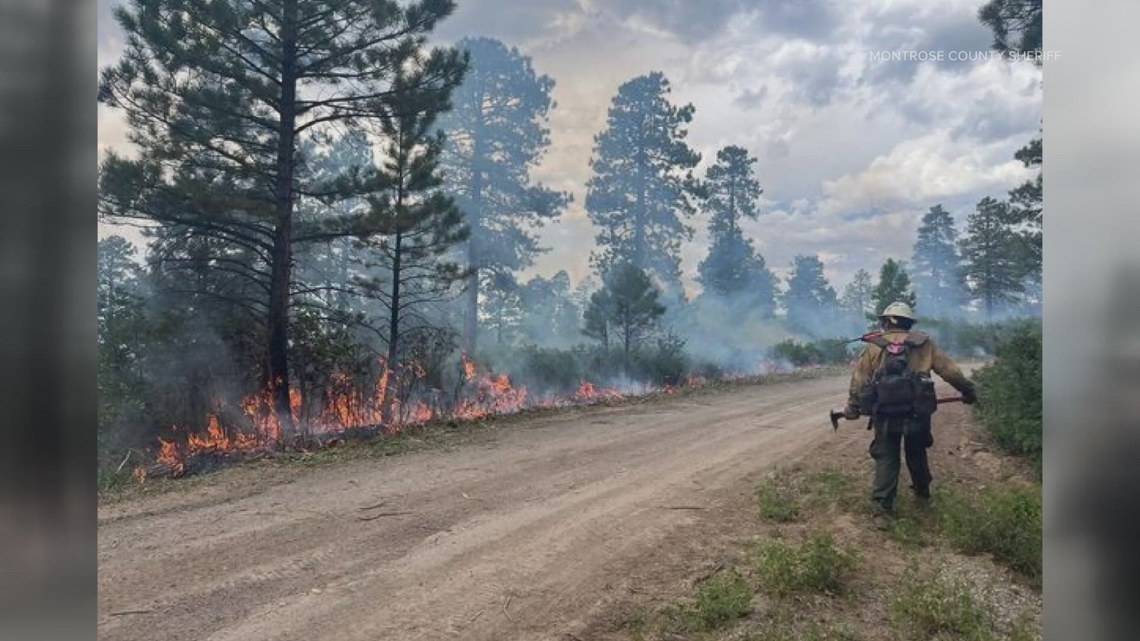 Dog cremation blamed for starting western Colorado wildfire [Video]