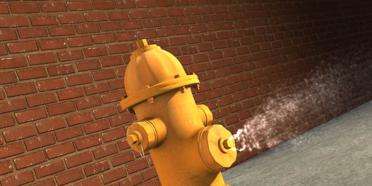 Vienna Utility Board set to flush out all city fire hydrants [Video]