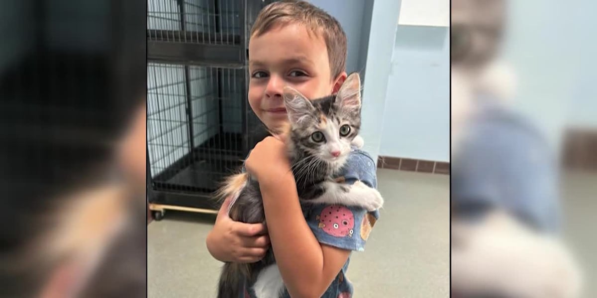 6-year-old boy starts poop scooping business to make money to adopt a cat [Video]