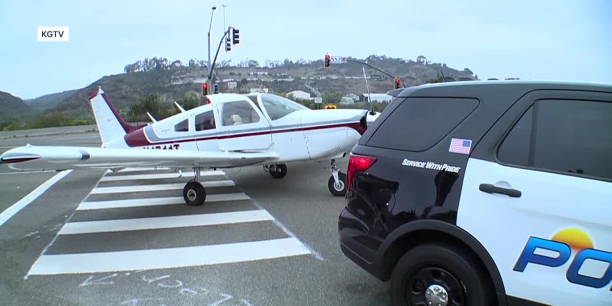 Plane carrying drugs makes emergency landing on highway, police say [Video]