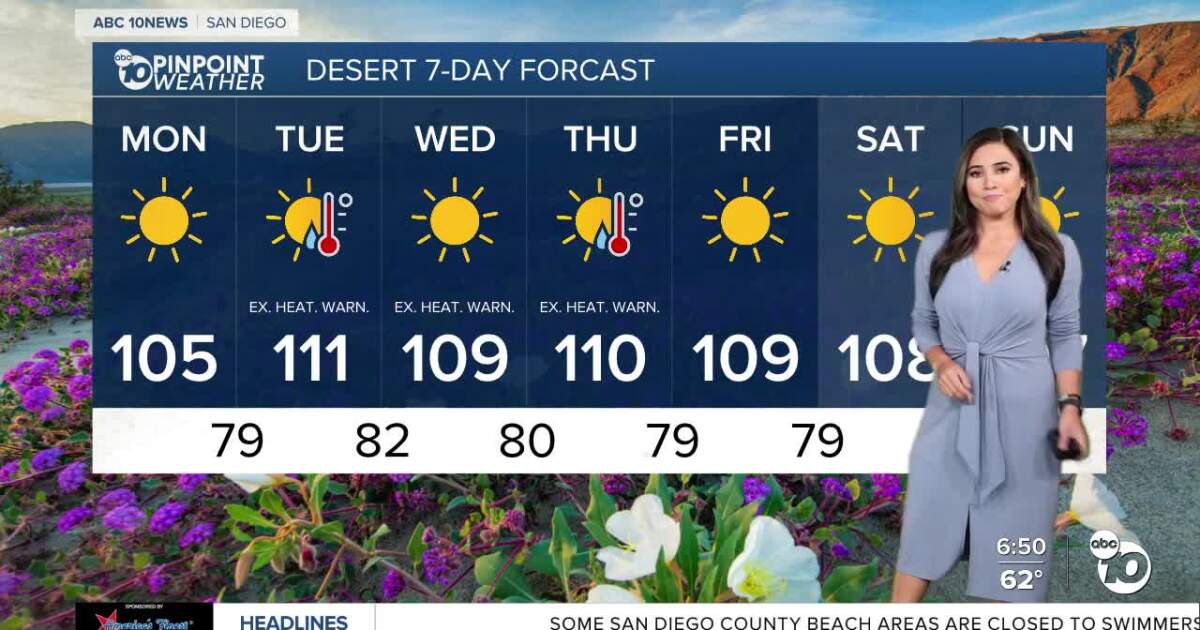 Vanessa’s Forecast: Summer-like weather on tap [Video]