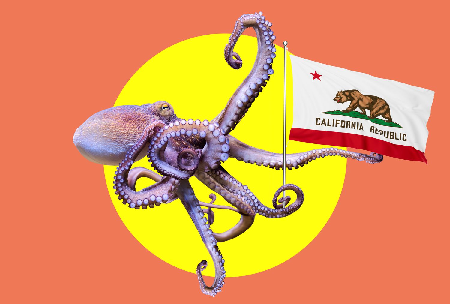 It’s Now Illegal to Farm Octopus in California  Here’s Why [Video]