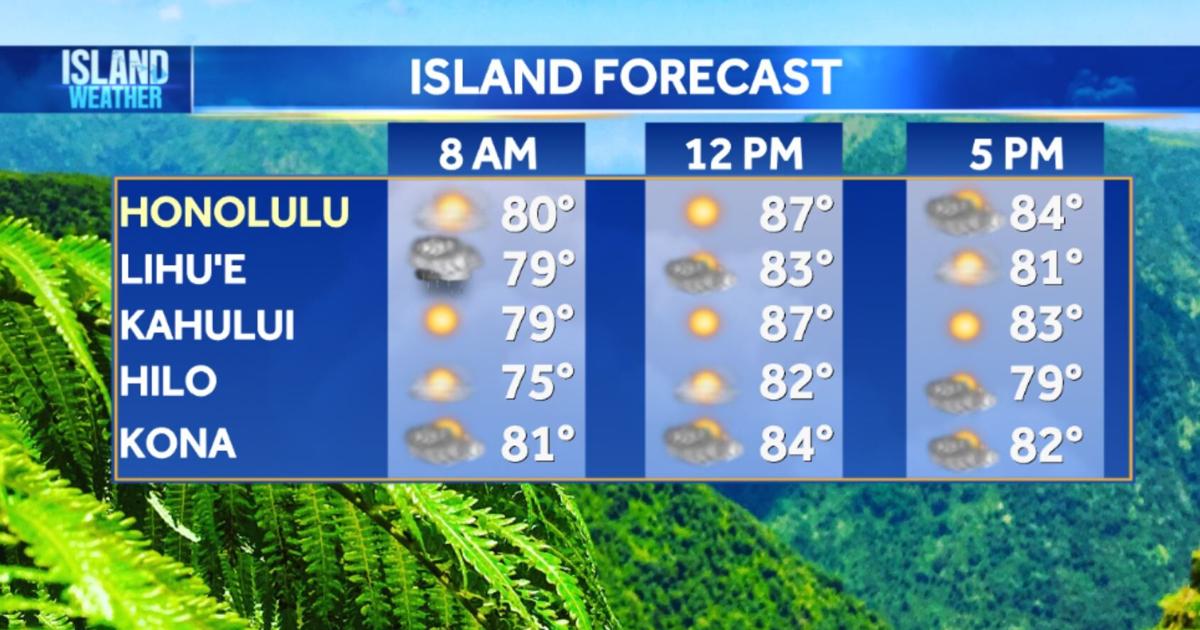 Wednesday Weather – Rainy start, but drier conditions and sunshine to fill in | Local [Video]