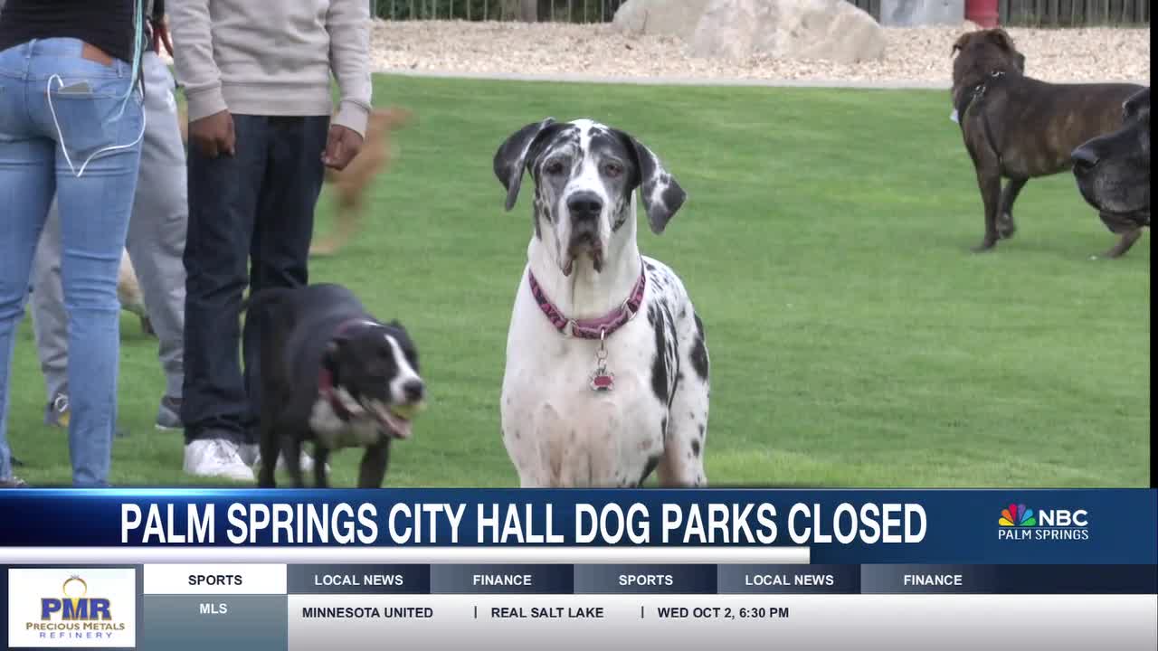 Palm Springs Dog Parks to Close for Annual Maintenance Starting November 6 [Video]