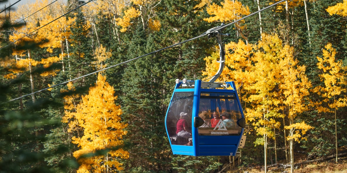 Need a break from the Valley heat? See the fall foliage at Arizona Snowbowl! [Video]