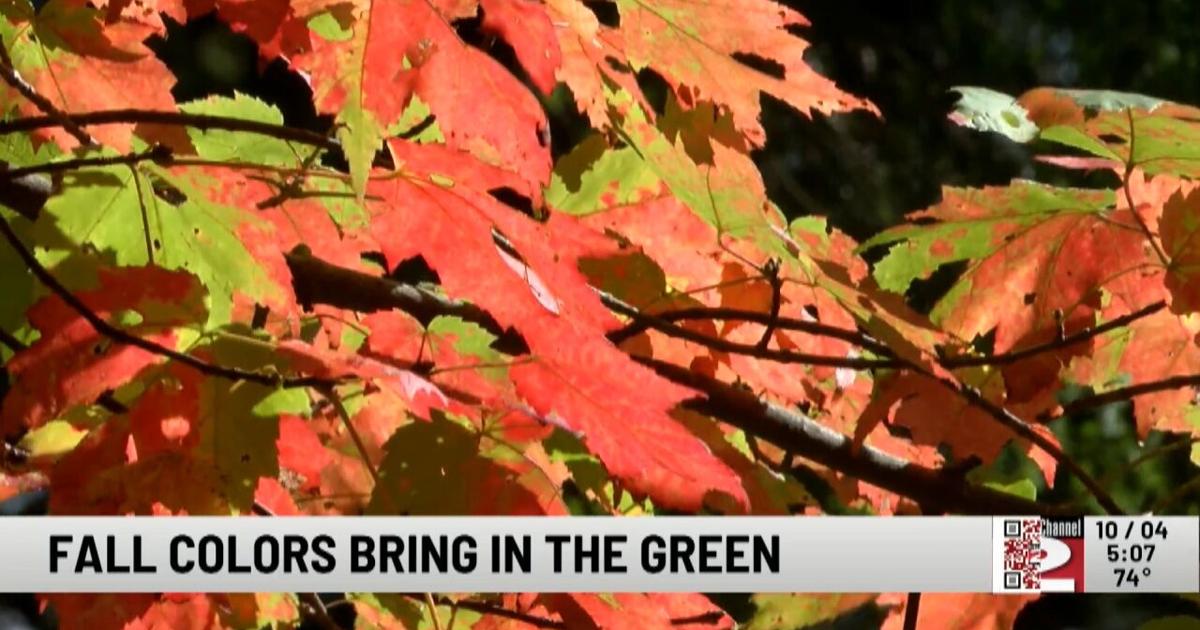 Fall Colors Bring in the Green | Entertainment [Video]