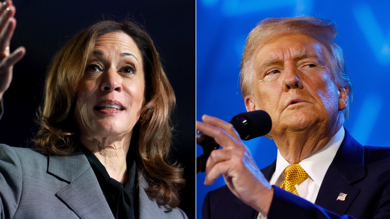 Harris leads Trump in new poll; former president still most trusted on economy [Video]