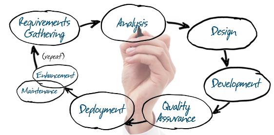 What Is Software Development Life Cycle? I DevTeam.Space [Video]