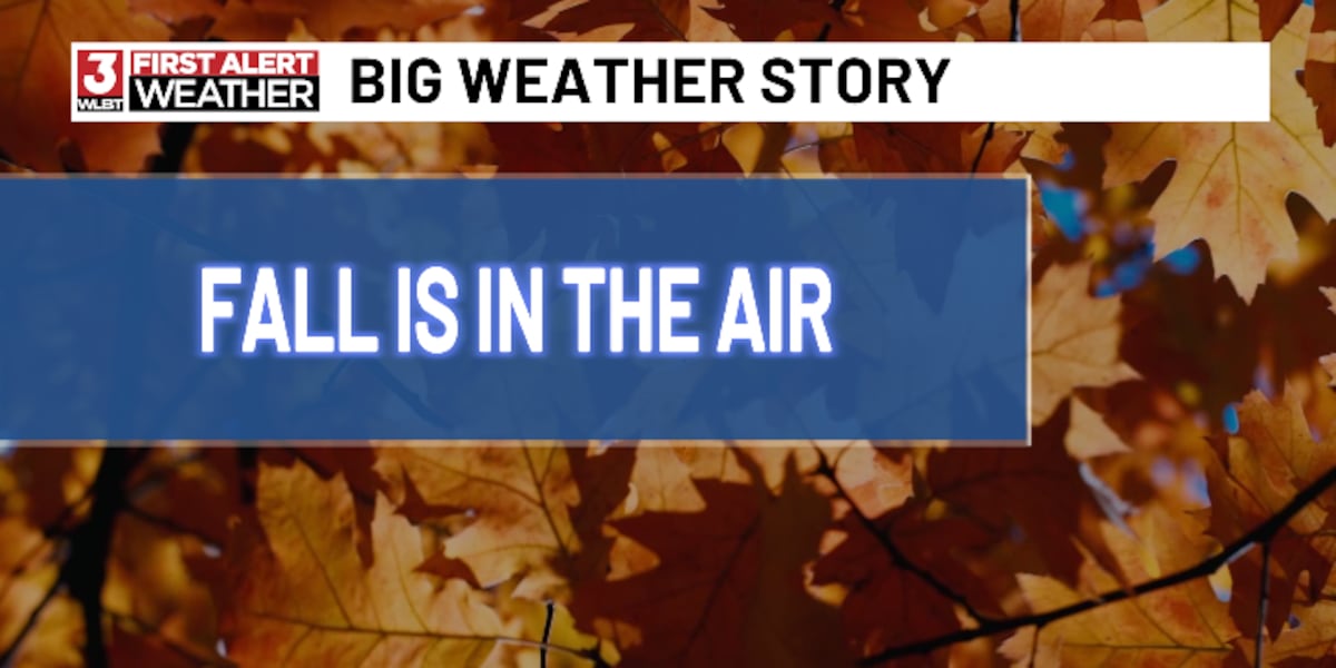 Comfortable Fall Weather Settling In [Video]