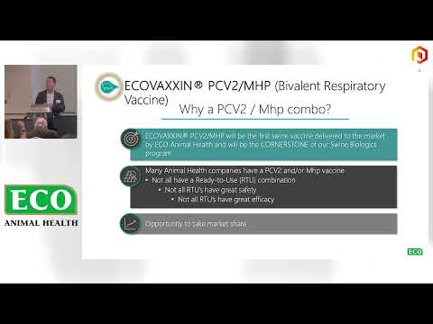 Innovations in animal health: Eco Animal Health CEO at the Proactive One2One Investor Forum [Video]