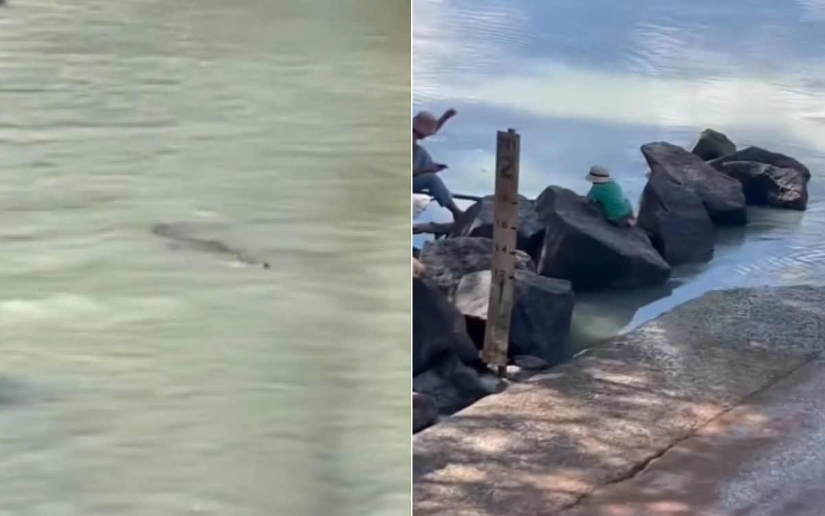 Chilling Video Shows Kids Playing by River Full of Crocodiles: ‘Reckless’