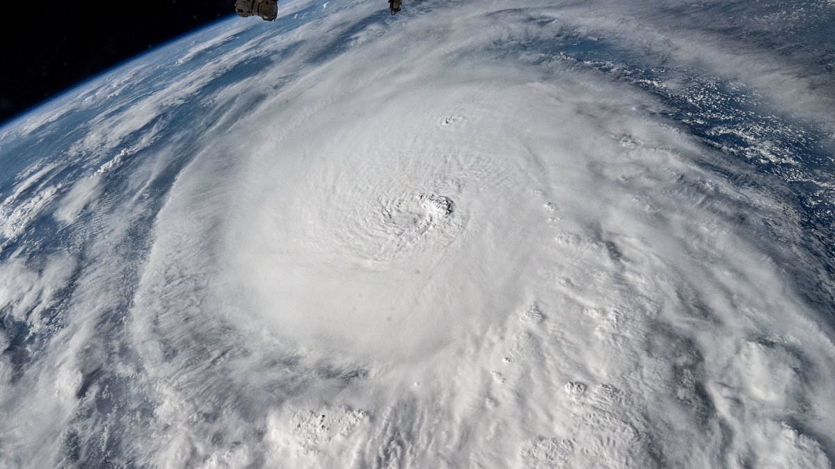 Inside the ‘doomed paradise’ in the path of Hurricane Milton: As the clock ticks down to the moment of dread, the Mail’s GREG WOODFIELD reveals how Florida is bracing for an ‘inevitable apocalypse’ [Video]