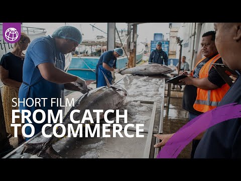 From Catch to Commerce: Growing the Economy in Tonga Through Trade Facilitation [Video]