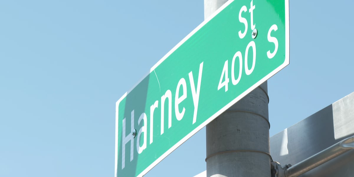 Harney Streetscape project to focus on pedestrian safety on busy street [Video]