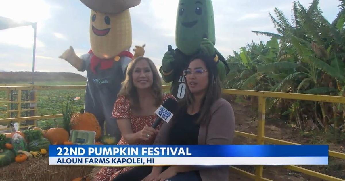 Aloun Farms Pumpkin Festival offers harvest fun starting this weekend | Video