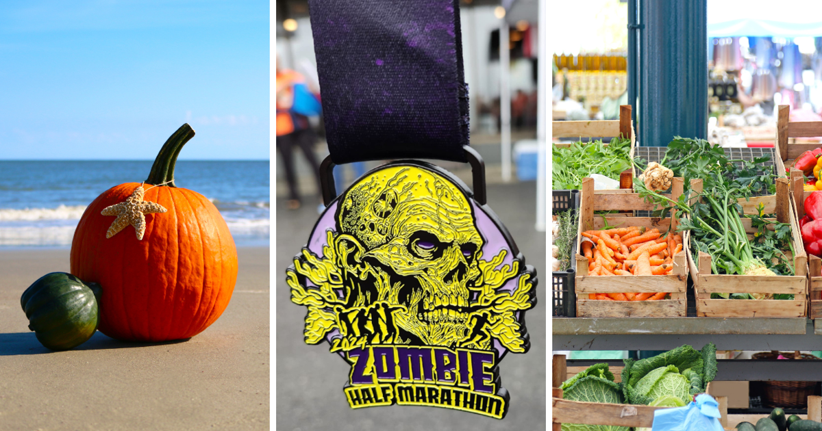 Weekend Planner: Pumpkins at the Beach, Running Zombies and Fresh Veggies! | Homepage [Video]