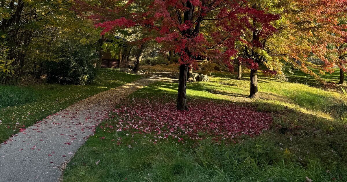 It’s officially fall in Idaho! Here’s how to recycle those falling leaves in Meridian [Video]