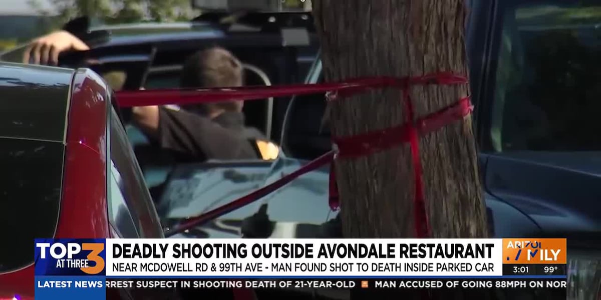 Man found shot to death in Avondale parking lot [Video]