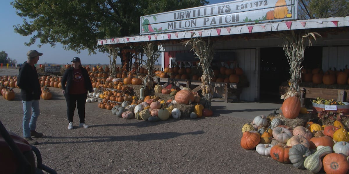 Family spends 52 years planting melons, pumpkins by hand in Buffalo County [Video]