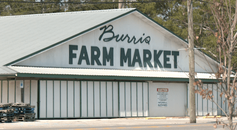 Burris Farm Market hosts auction walk through for Tuesday auction in Loxley [Video]