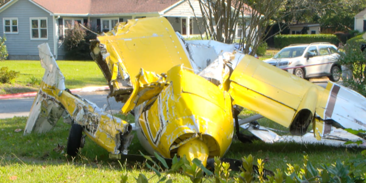 Pilot killed and passenger injured as small plane crashes in Georgia neighborhood [Video]