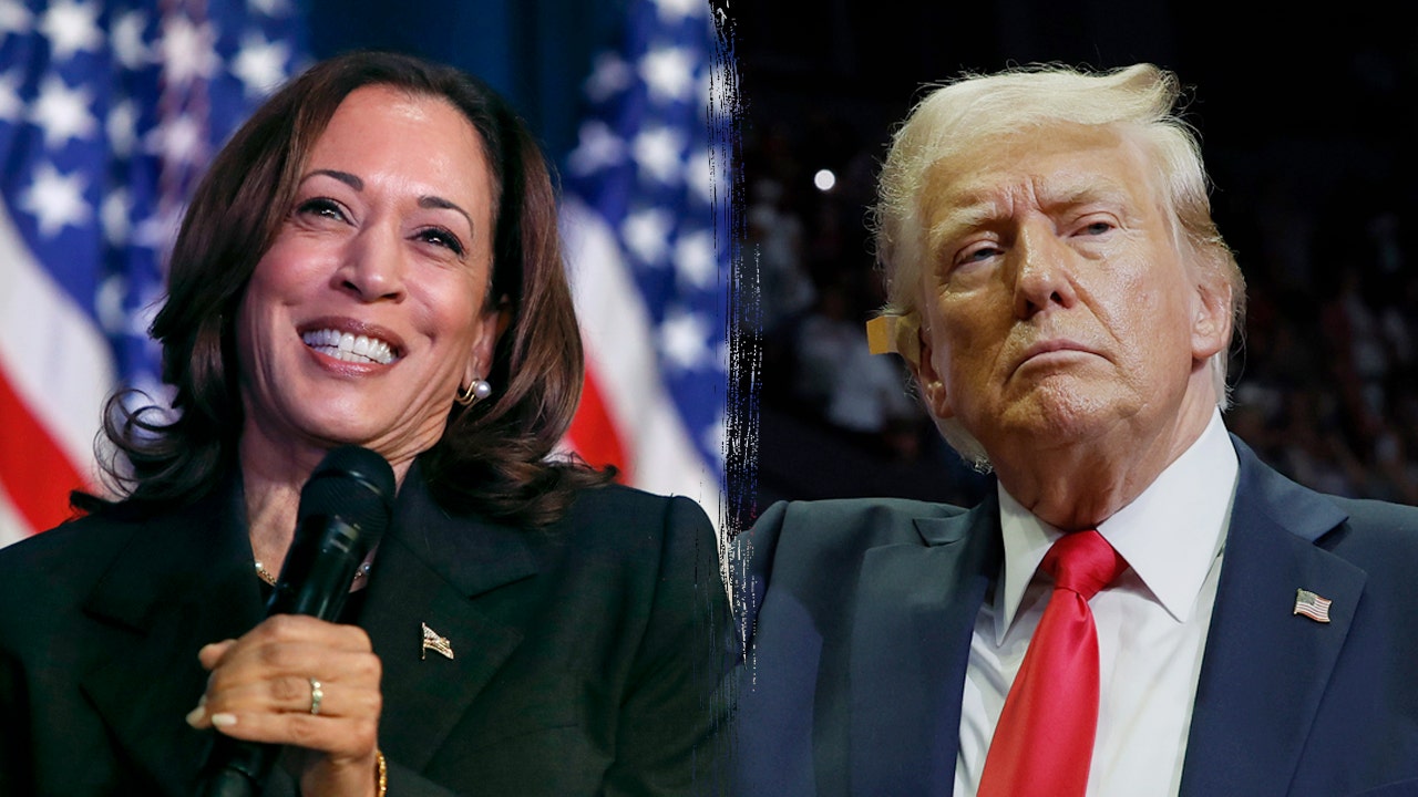 Harris holds small national lead as Trump increases his edge on the economy: poll [Video]