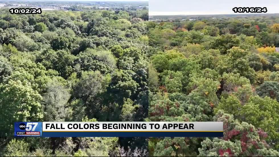 Despite challenges, fall color starting to pop across Michiana [Video]