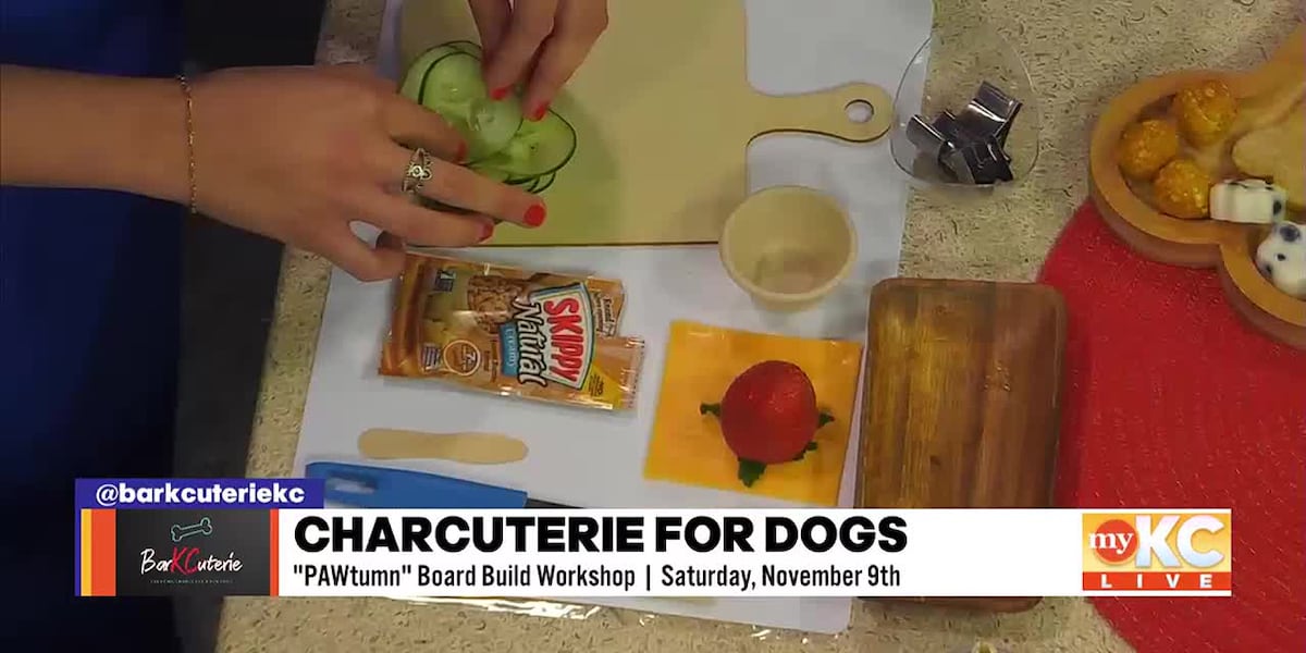 Barkcuterie [Video]