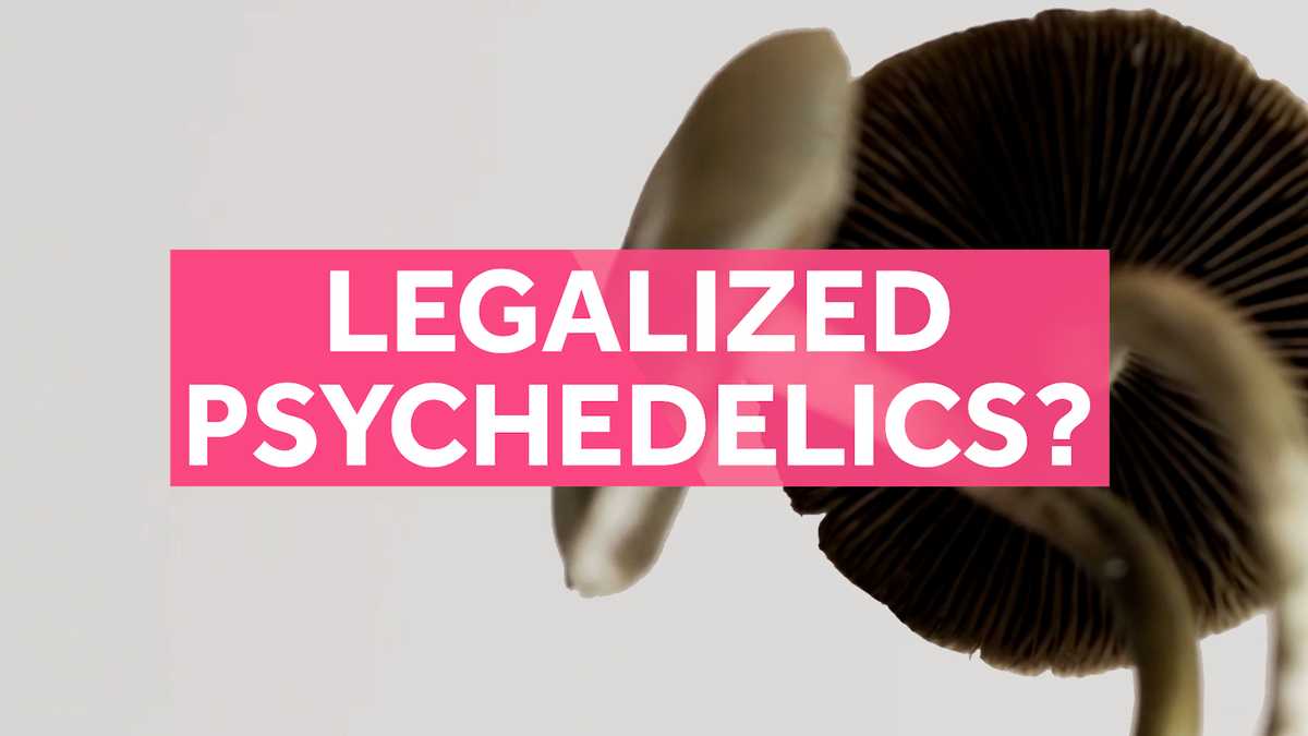 Question 4 debate: Legalization of psychedelics [Video]