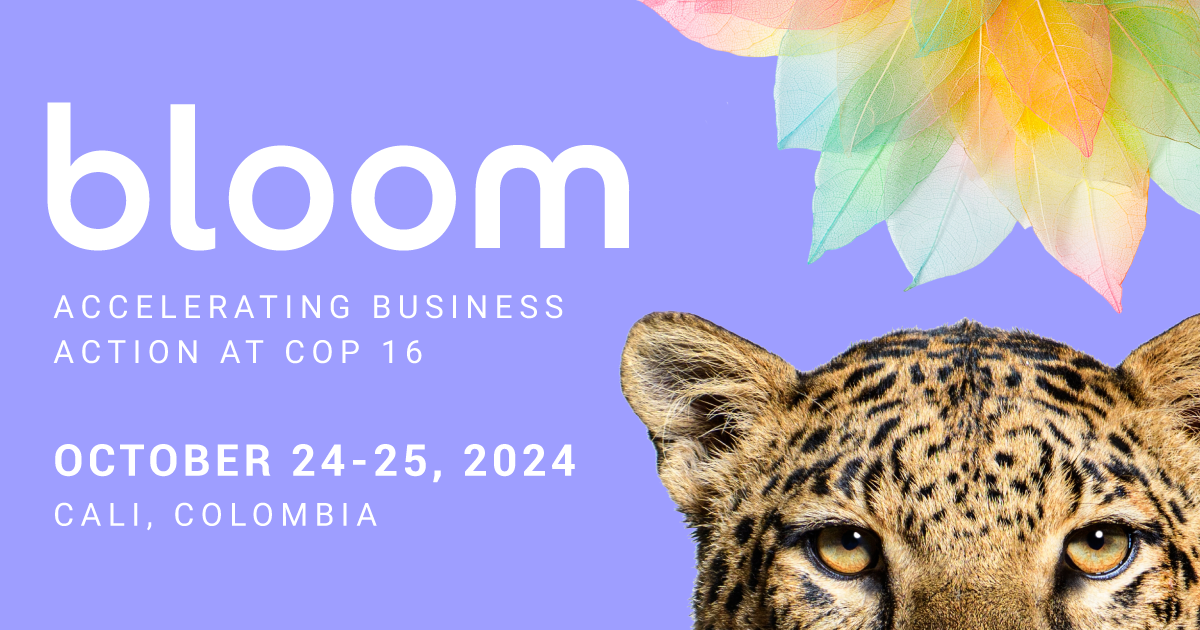 Bloom 24 – The Premier Nature Event [Video]