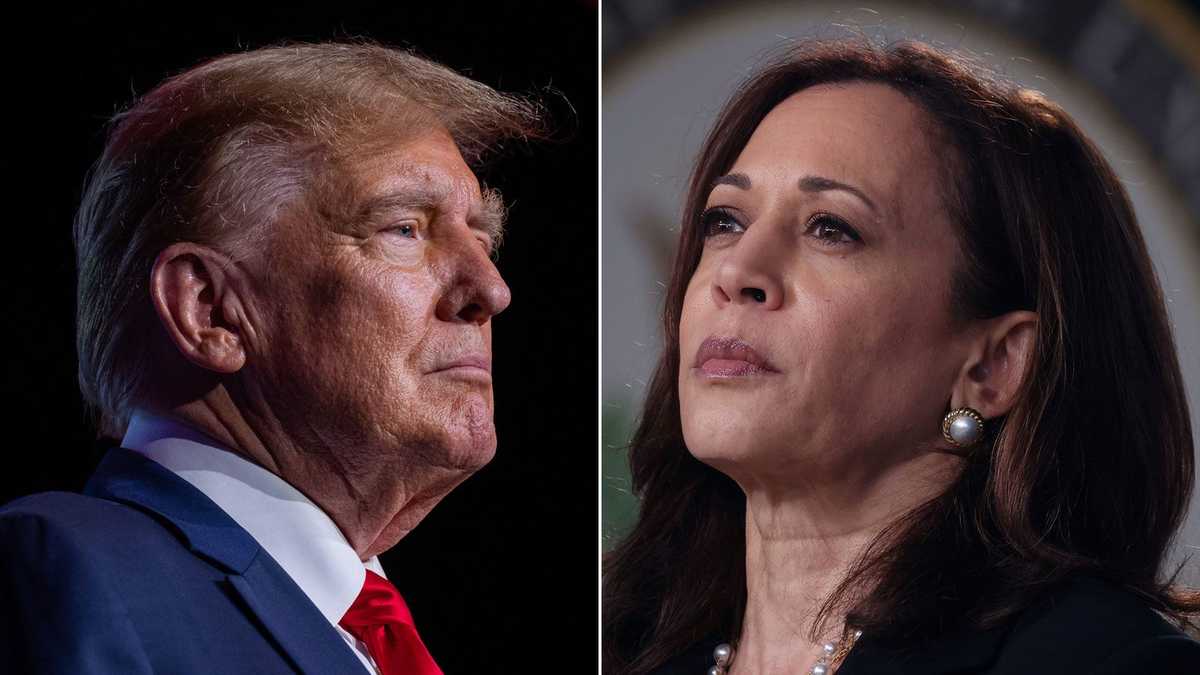 Harris and Trump target Michigan as both parties try to shore up ‘blue wall’ votes [Video]