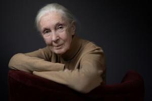 Jane Goodall warns on false promises at UN biodiversity meet [Video]