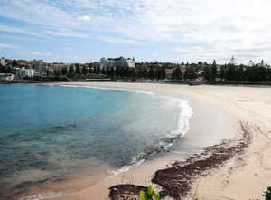 Australia: All Sydney beaches reopened following tar ball pollution [Video]