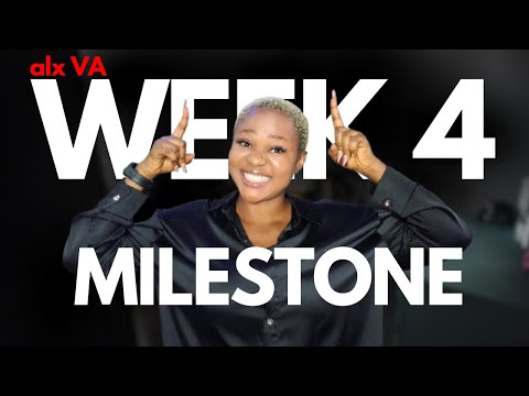 Week 4 Milestone | ALX Virtual Assistant Programme – Travel Planning and Project Management [Video]