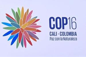 UN biodiversity summit opens in Colombia with calls for action, finance [Video]