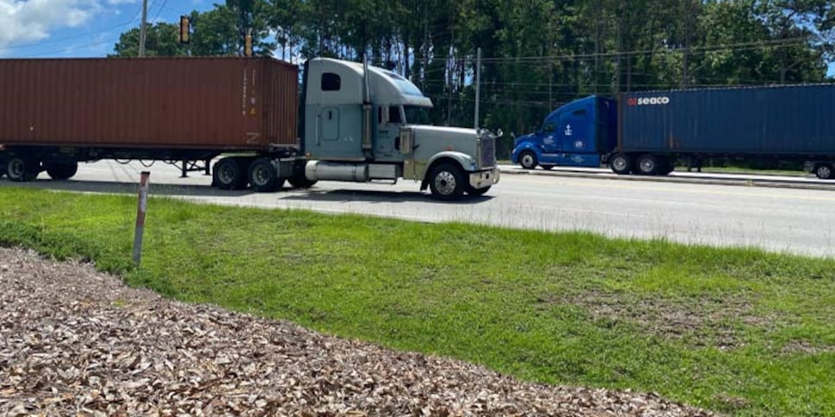 Long-awaited Lowcountry interstate project secures full funding through grant [Video]