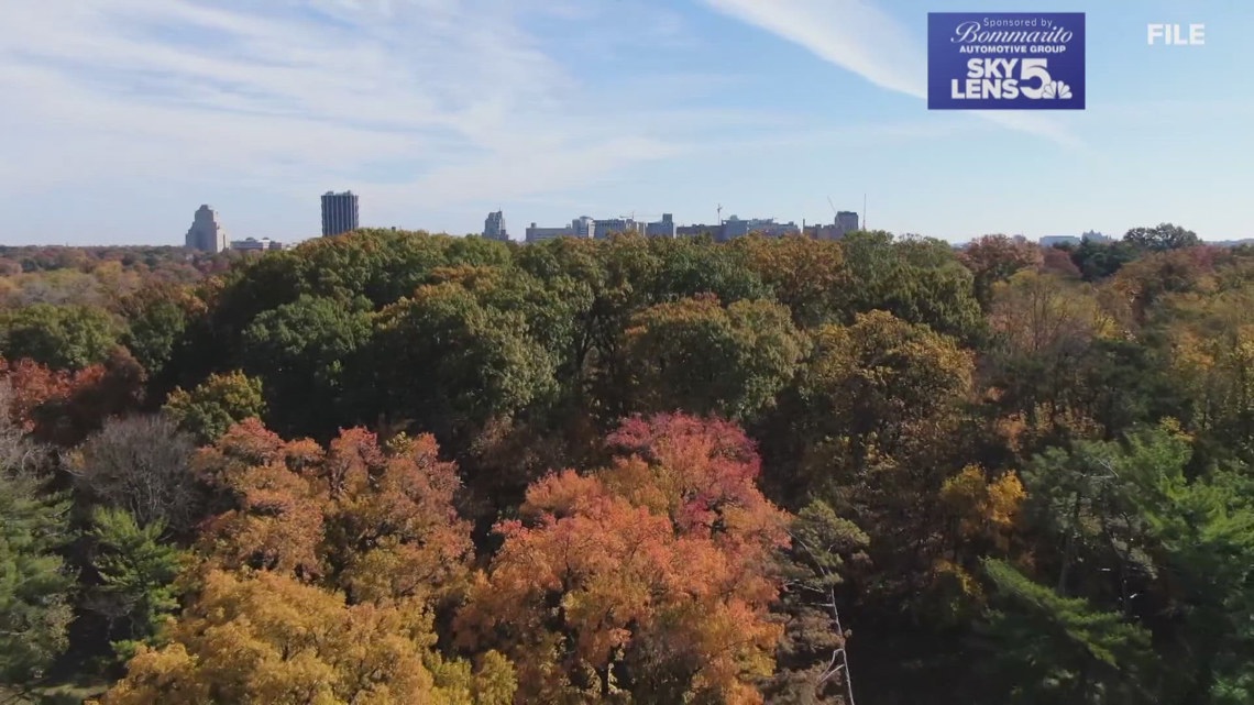 When will St. Louis see peak fall color? [Video]