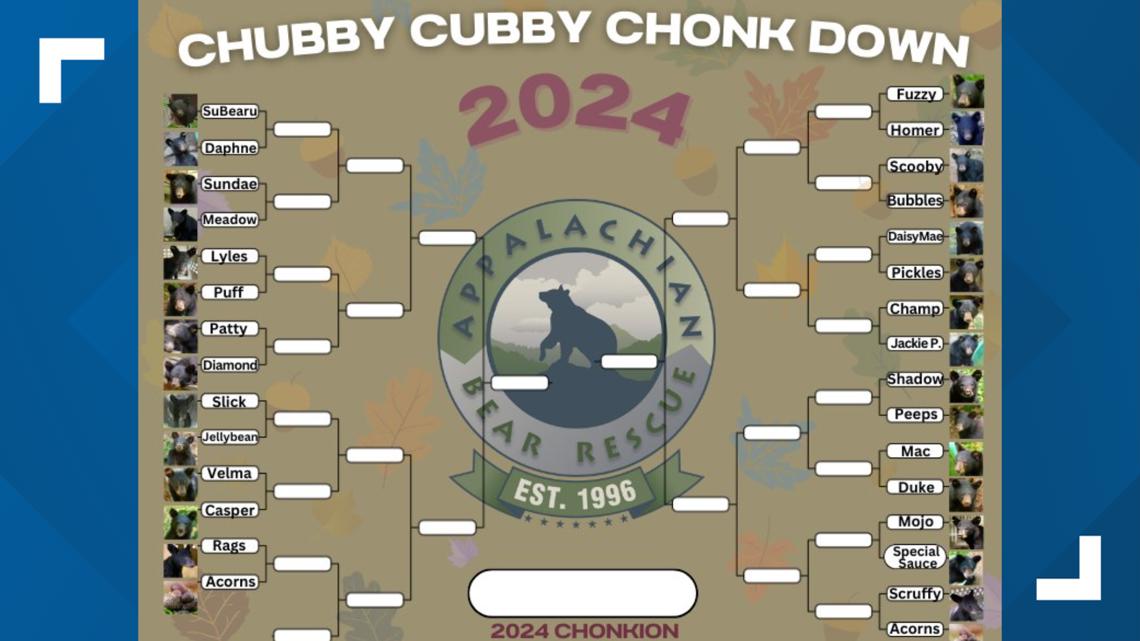 Starting Wednesday, fans can vote in the annual Appalachian Bear Rescue ‘Chubby Cubby Chonk Down’ [Video]