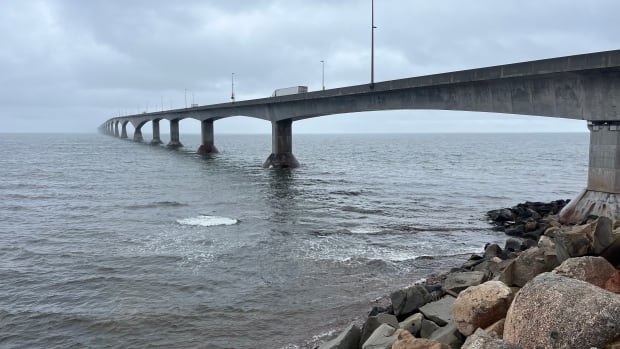 ‘Burdened with that hurdle’: Small businesses call on feds to ditch Confederation Bridge toll [Video]